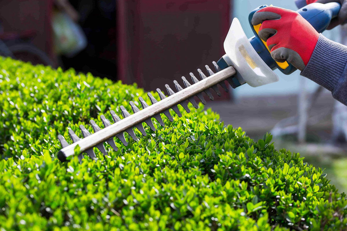 Landscape Services